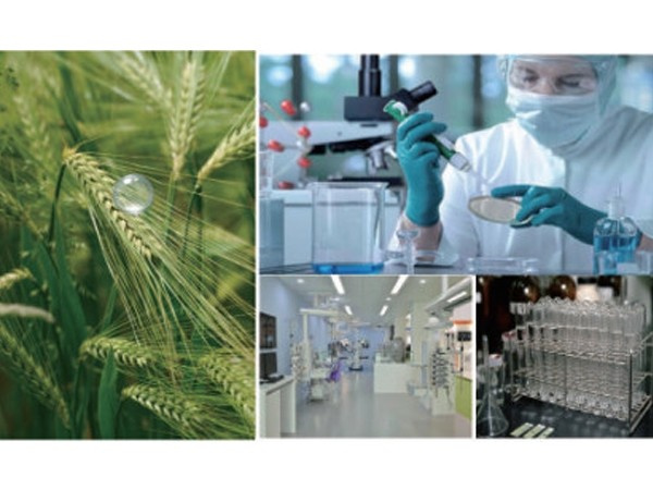 不一樣的護膚科技 芮雅之謎細胞賦能新生